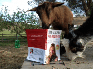 Goat Photo Contest 2014