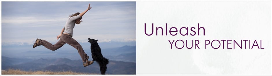 Unleash Your Pet Business Potential Banner