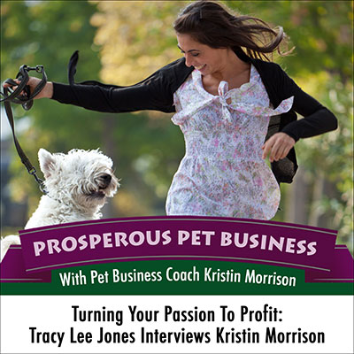 How to Turn Your Passion Into Profit: Tracy Lee Jones Interviews Kristin Morrison