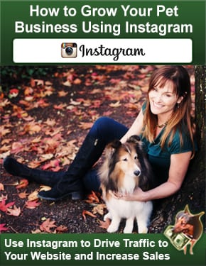 How to Grow Your Pet Business Using Instagram