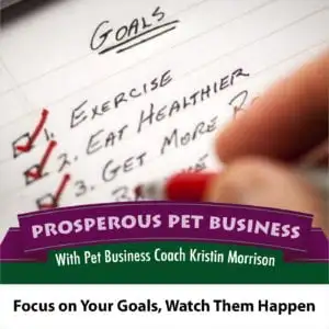Focus on Your Goals, Watch Them Happen