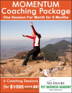 momentum coaching package