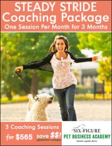 steady stride coaching package