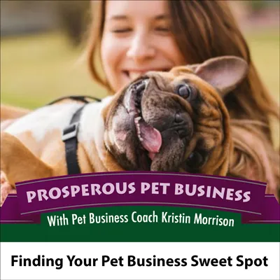 Finding Your Pet Business Sweet Spot