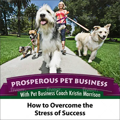 How to Overcome the Stress of Success