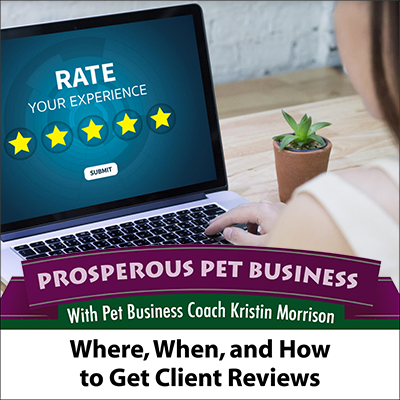 Where, When and How to Get Client Reviews