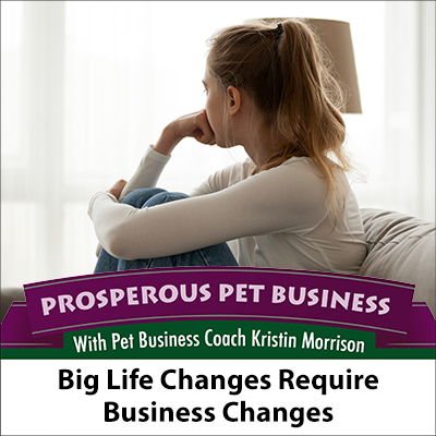 Big Life Changes Require Business Changes