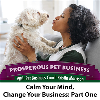 Calm Your Mind, Change Your Business, Part One