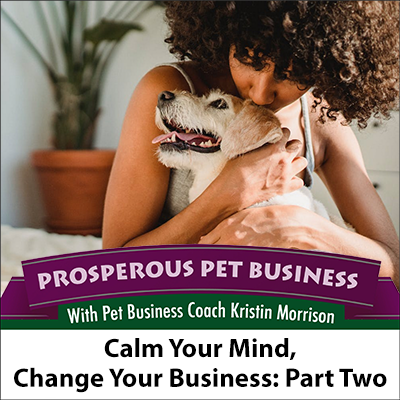 Calm Your Mind, Change Your Business, Part Two