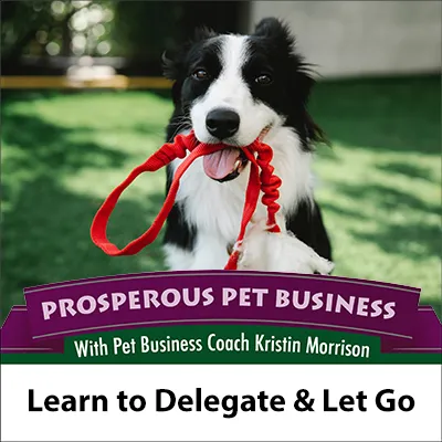 Learn to Delegate and Let Go