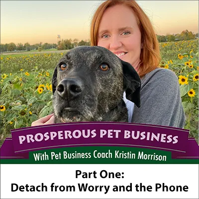 Detach From Worry and the Phone