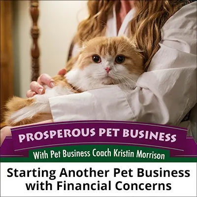 Starting Another Pet Business with Financial Concerns
