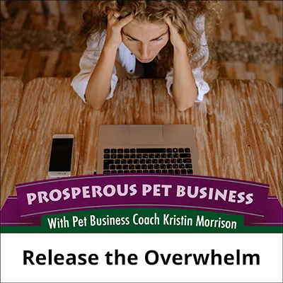Release the Overwhelm
