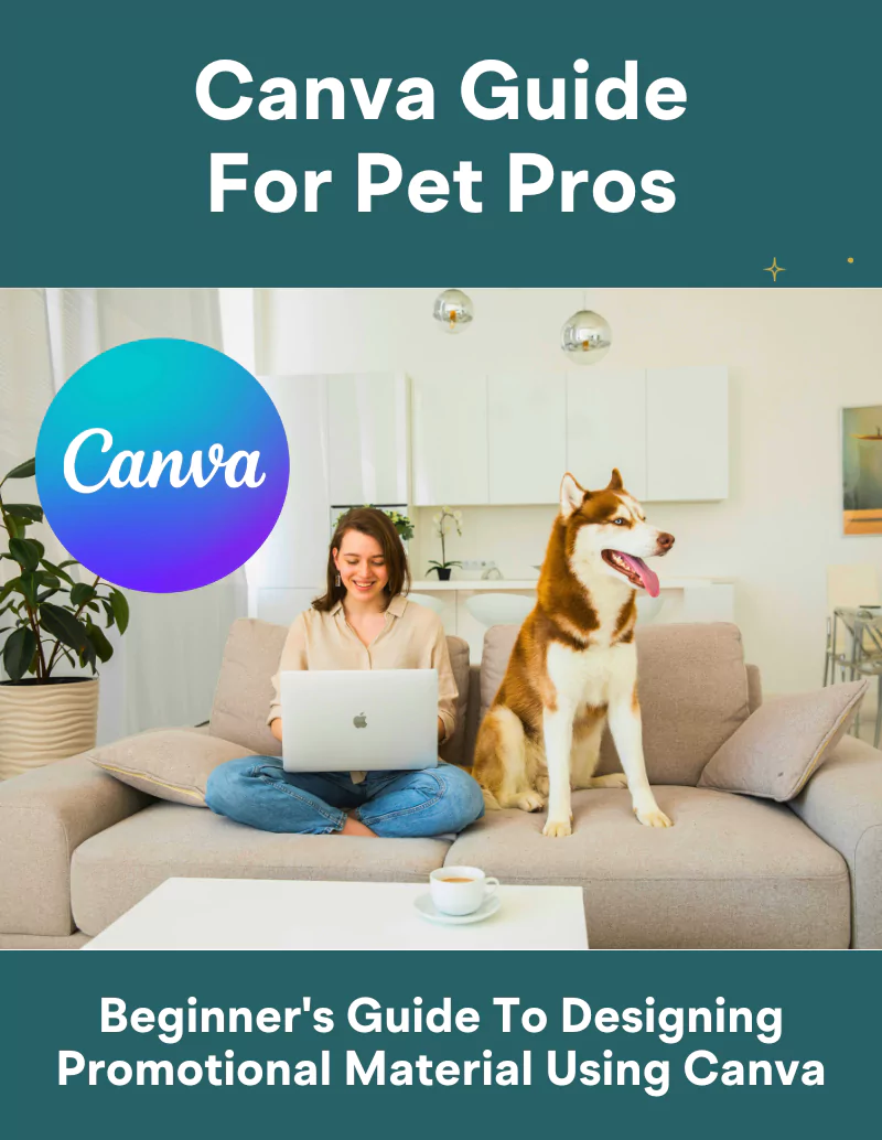 canva guide for pet pros