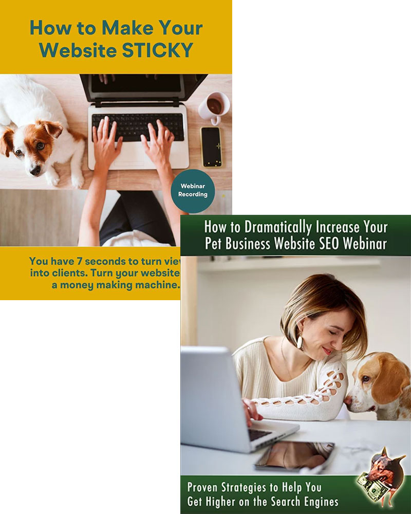 How to make your website sticky + How to increase your pet business website SEO