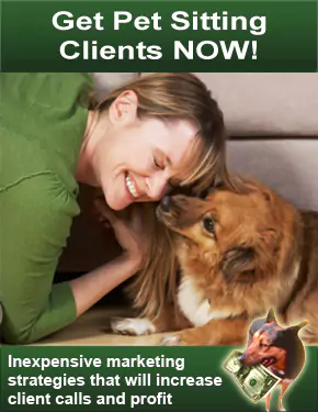 get pet sitting client now.