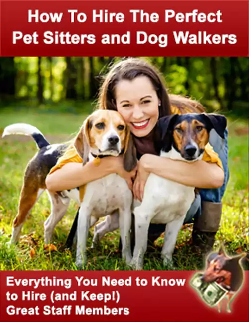 how to hire the perfect pet sitters and dog walker