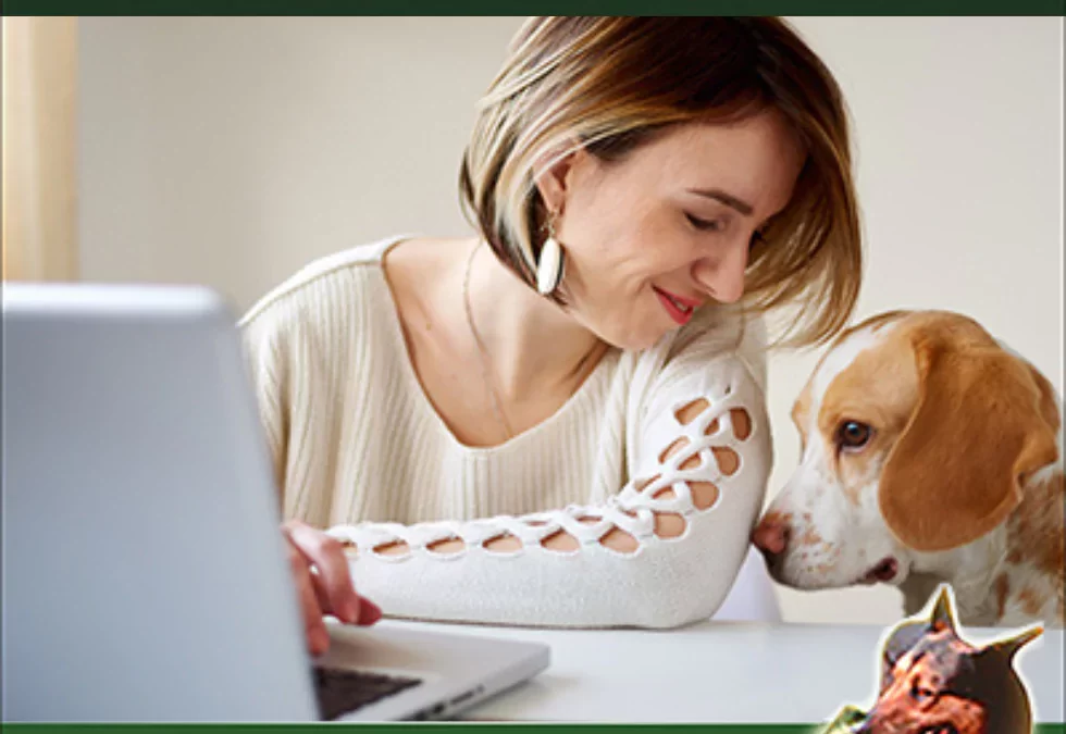 How to Increase Your Website Search Engine Optimization Masterclass