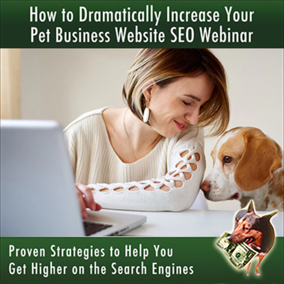 How to Increase Your Website Search Engine Optimization Masterclass