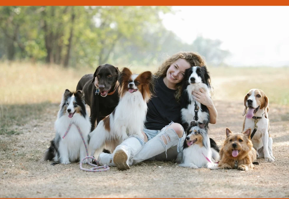 Pet Business Mastermind: A Different Kind of Pet Business Support.