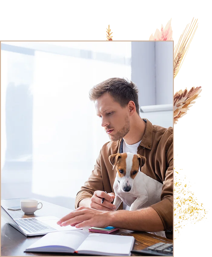 pexels polina zimmerman 1000