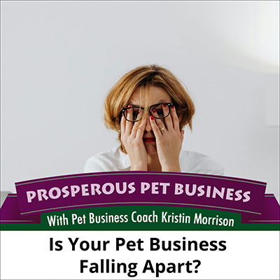 Is Your Pet Business Falling Apart?