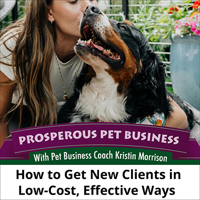 How to Get New Clients in Low-Cost, Effective Ways